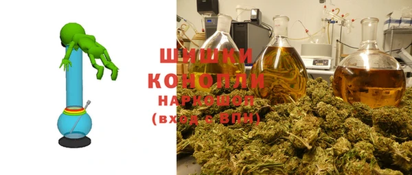 шишки Алексеевка