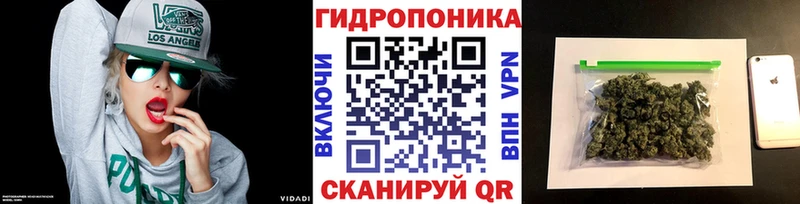 Шишки марихуана планчик  Лукоянов 